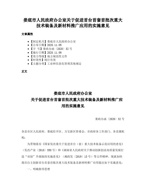 娄底市人民政府办公室关于促进首台首套首批次重大技术装备及新材料推广应用的实施意见