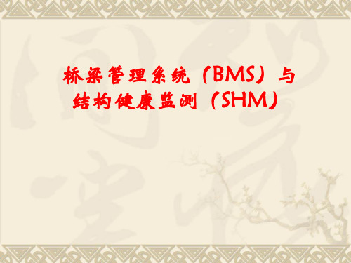 桥梁管理系统(BMS)与结构健康监测(SHM)3