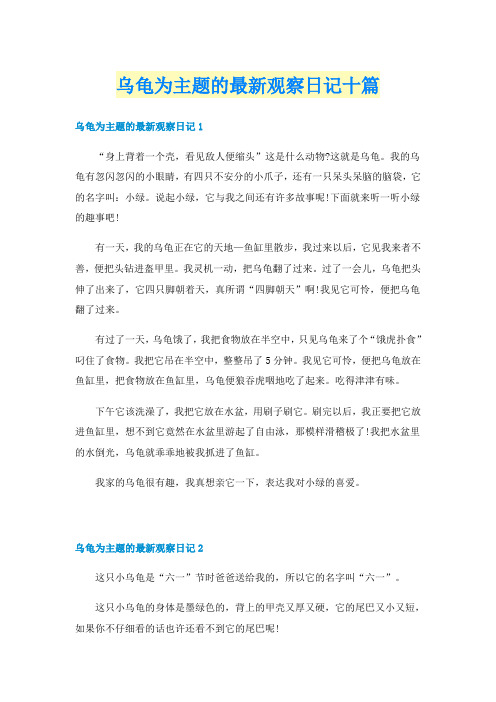 乌龟为主题的最新观察日记十篇