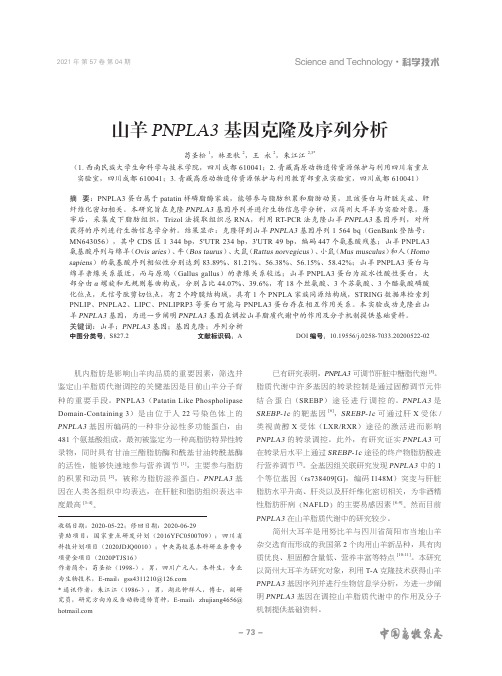 山羊PNPLA3基因克隆及序列分析