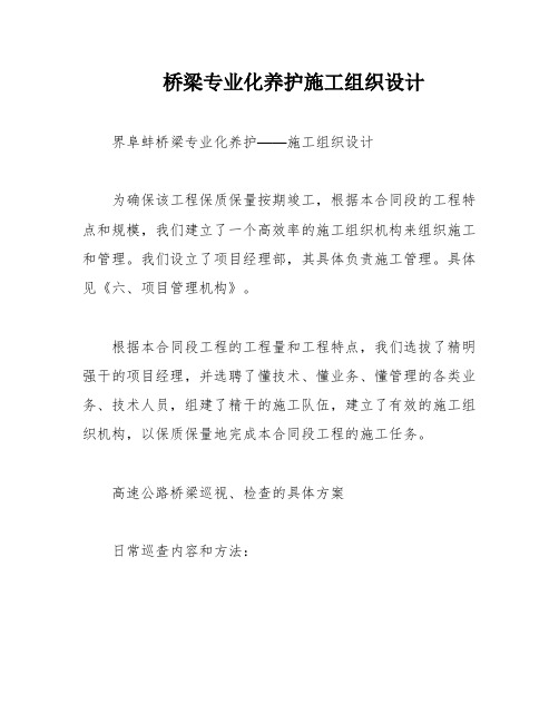 桥梁专业化养护施工组织设计