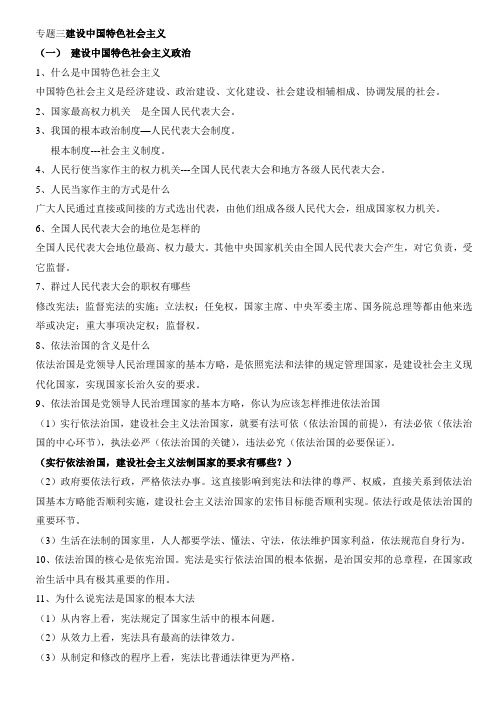 中考九年级政治专题三  建设中国特色社会主义