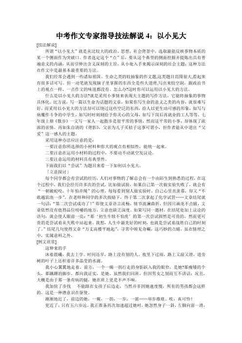 中考作文专家指导技法解说4：以小见大