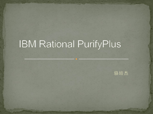 IBMRationalPurifyPlus：IBMRationalPurifyPlus