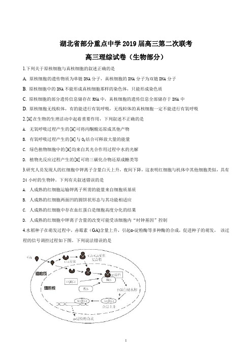 湖北省部分重点中学2019届高三上学期第二次联考理科综合试卷生物试题