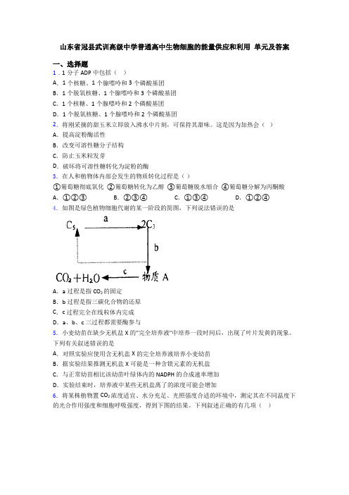 山东省冠县武训高级中学普通高中生物细胞的能量供应和利用 单元及答案