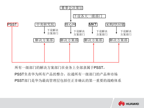 华为PSST(网络解决方案)在华为整体中的职能