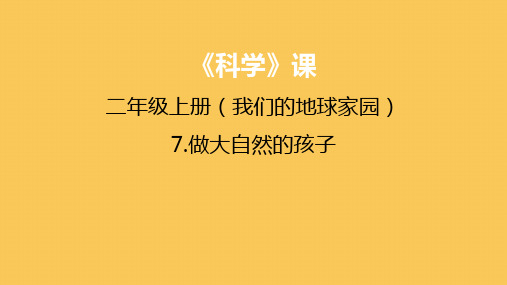 教科版二年级科学上册第一单元《7做大自然的孩子》课件