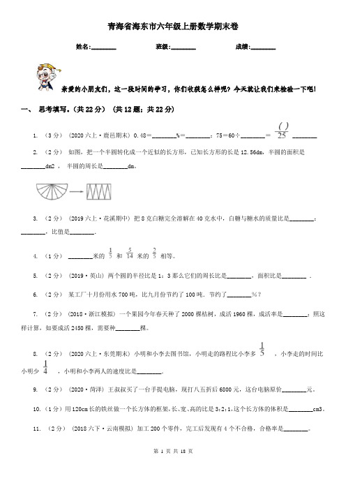 青海省海东市六年级上册数学期末卷