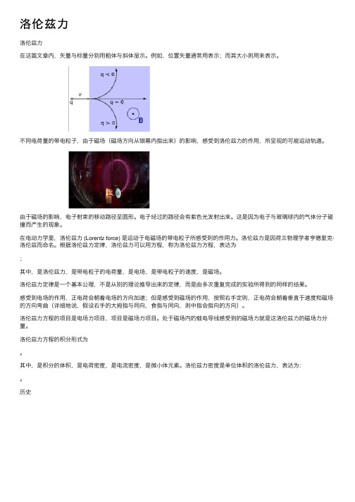 洛伦兹力——精选推荐