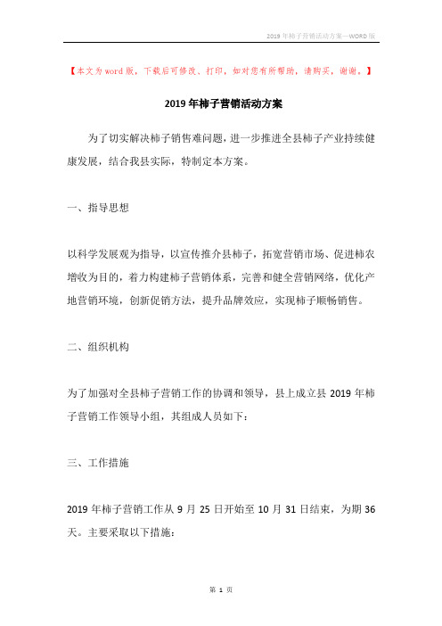 2019年柿子营销活动方案