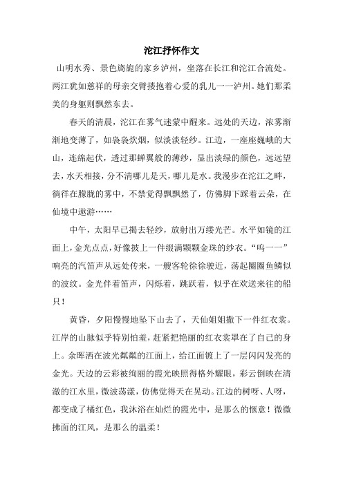 沱江抒怀作文