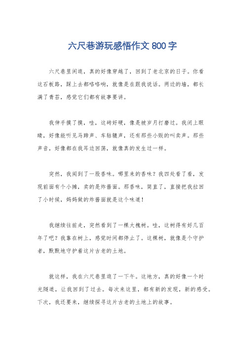 六尺巷游玩感悟作文800字