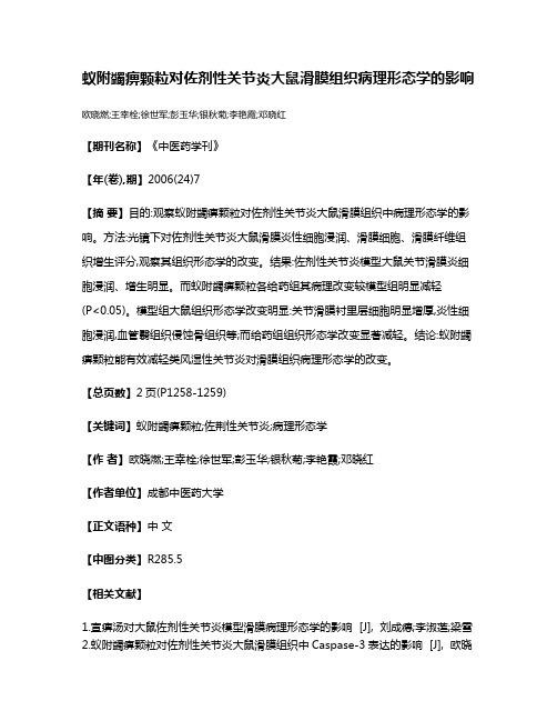 蚁附蠲痹颗粒对佐剂性关节炎大鼠滑膜组织病理形态学的影响