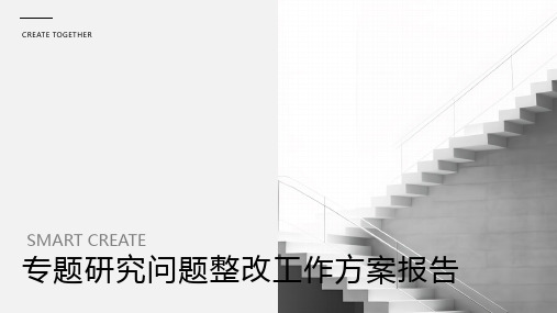 专题研究问题整改工作方案