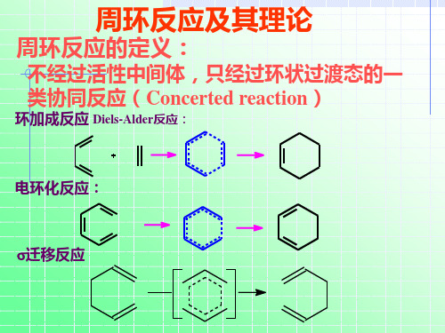 高等有机化学周环