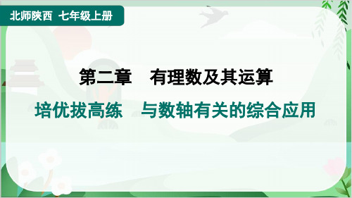 2024年北师大版七年级上册数学复习培优拔高练 与数轴有关的综合应用