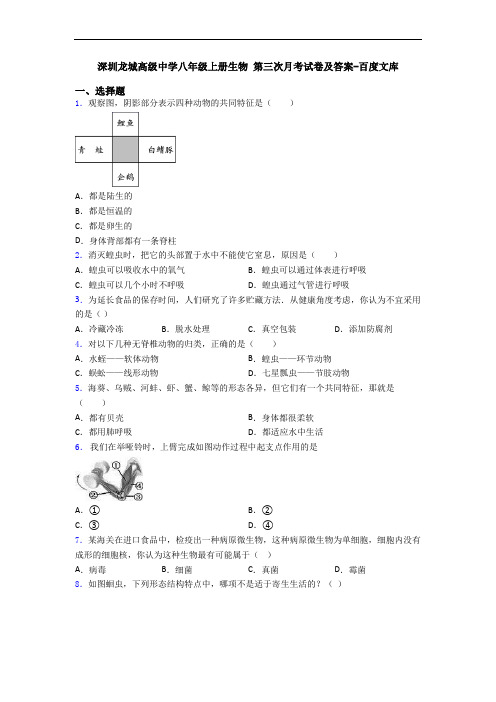 深圳龙城高级中学八年级上册生物 第三次月考试卷及答案-百度文库