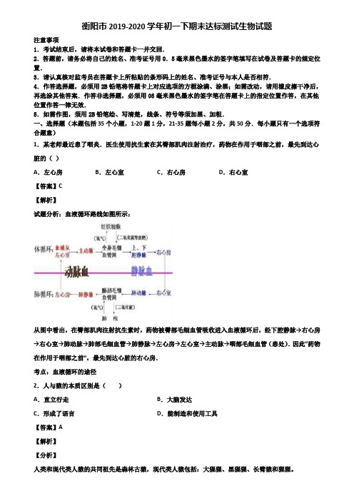 衡阳市2019-2020学年初一下期末达标测试生物试题含解析