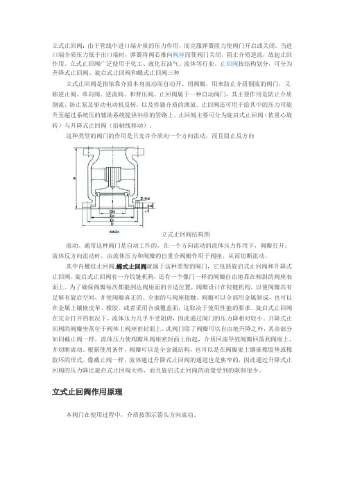 立式止回阀