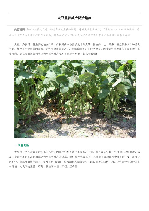 大豆重茬减产防治措施