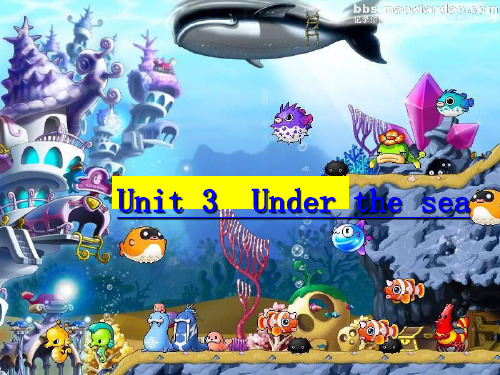 新人教选修7-Unit3-Under-the-sea-Reading[阅读课件](共32张PPT)