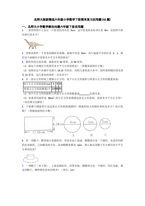 北师大版新精选六年级小学数学下册期末复习应用题(40题)