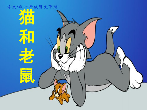 猫和老鼠课件(语文S版)