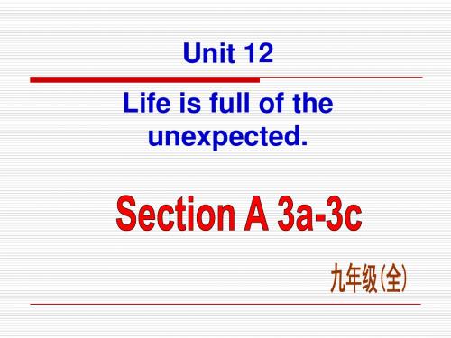 最新 人教新目标 九年级 公开课课件 Unit12 Section A-3精品课件(共28张PPT)