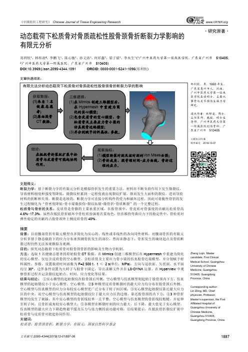 动态载荷下松质骨对骨质疏松性股骨颈骨折断裂力学影响的有限元分析