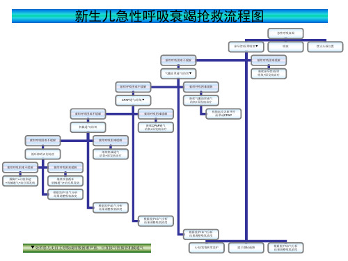 新生儿急性呼吸衰竭抢救流程图