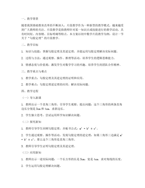 片段教学设计方案