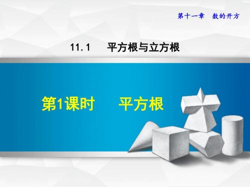 华师大版八年级数学上册平方根