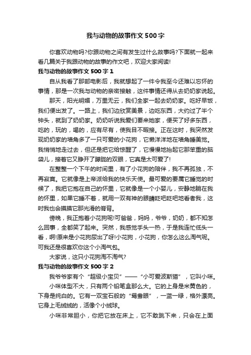 我与动物的故事作文500字