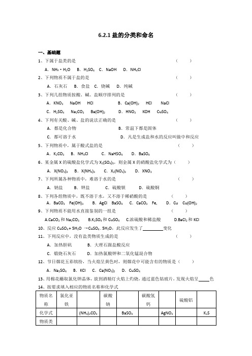 上海初中化学  6.2.1盐的分类和命名