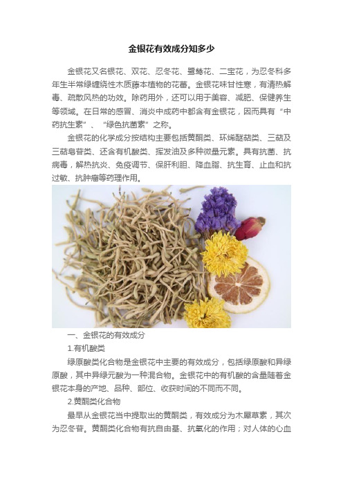 金银花有效成分知多少