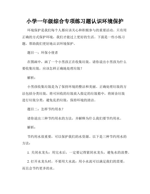 小学一年级综合专项练习题认识环境保护