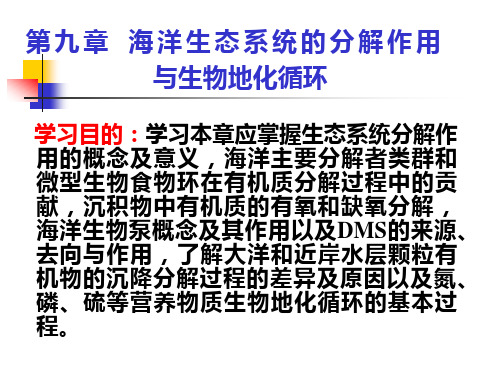 厦大海洋生态学课件09海洋生态系统的分解作用与生物地化循环