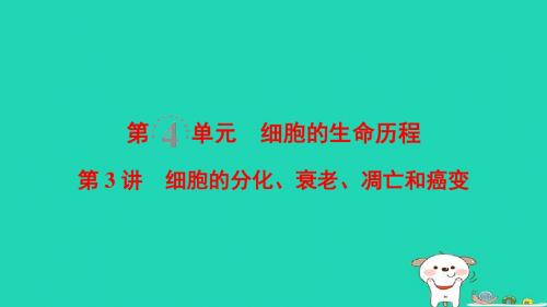 (全国版)2019版高考生物一轮复习第4单元细胞的生命历程第3讲细胞的分化、衰老、凋亡和癌变课件