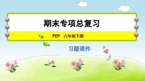 人教pep版小升初复习课件-话题写作专项