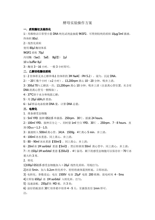酵母实验操作方案