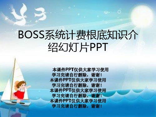 BOSS系统计费基础知识介绍幻灯片PPT