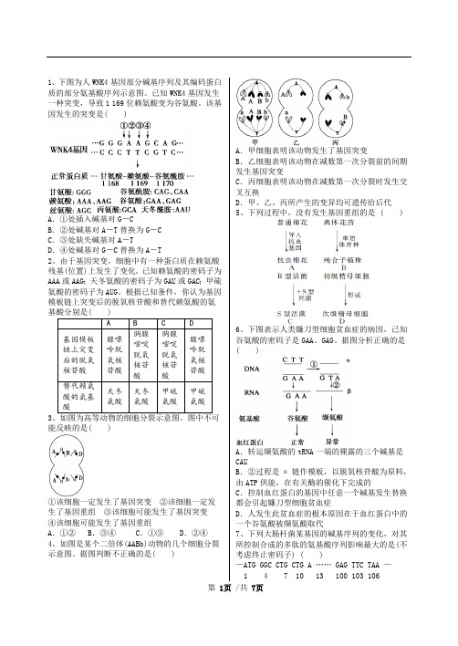 基因突变和基因重组经典试题附解析