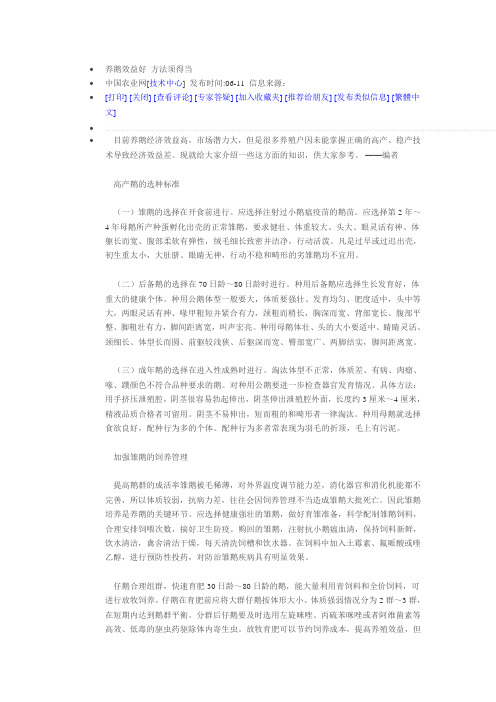 养鹅效益好 方法须得当