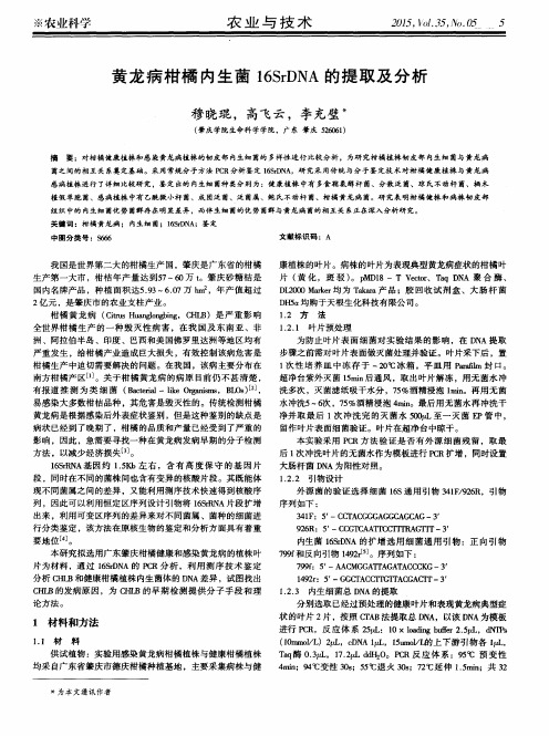 黄龙病柑橘内生菌16SrDNA的提取及分析