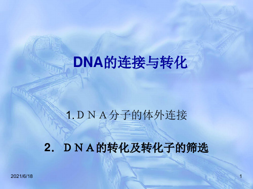 生物实验： dna连接与转化