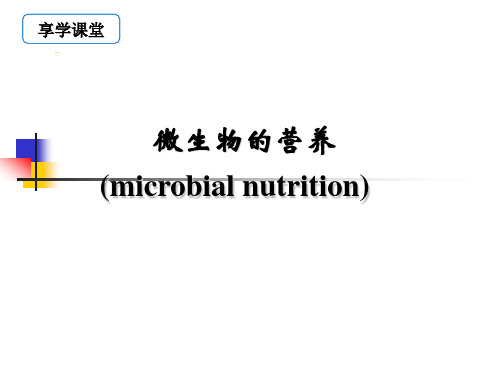 微生物的营养