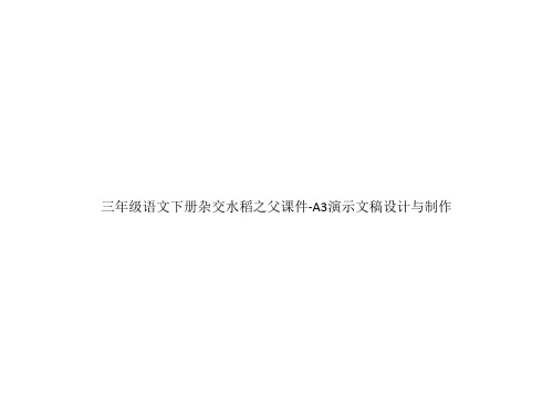 三年级语文下册杂交水稻之父课件-A3演示文稿设计与制作