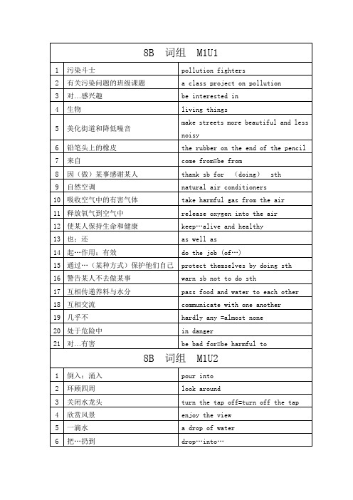 8B 词组
