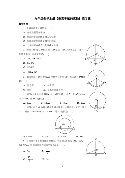 九年级数学上册《垂直于弦的直径》练习题含答案